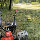 image 0003.jpeg