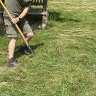 image 0019.jpeg