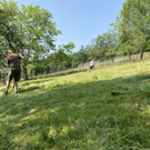 image 0005.jpeg