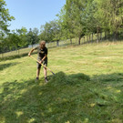 image 0009.jpeg
