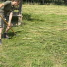 image 0011.jpeg