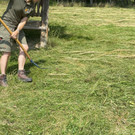 image 0012.jpeg