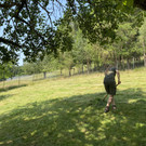 image 0014.jpeg
