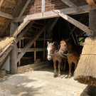 IMG_2259.JPG