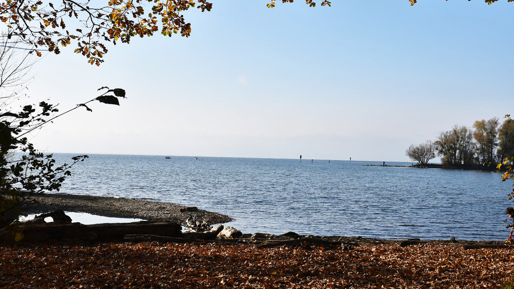 2020 Herbst Lochau Bodenseeufer06 Format 16 zu 9.jpg