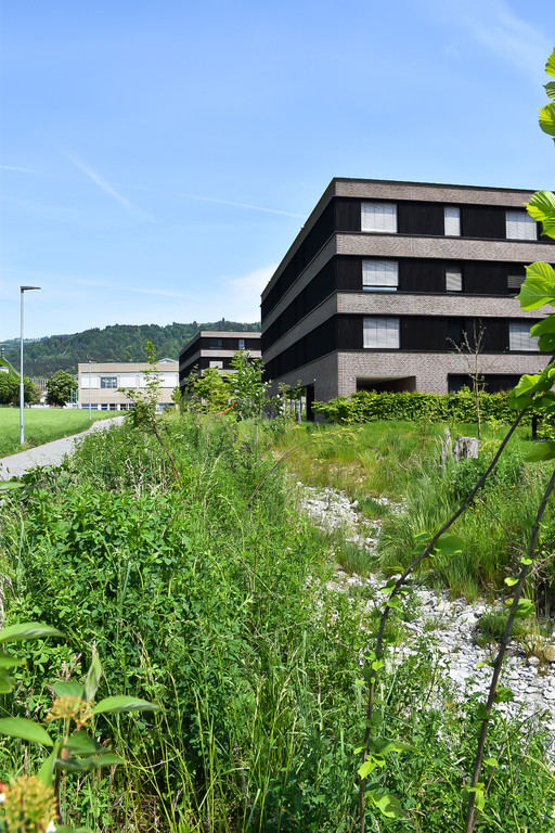 20220516_Kugelbeerbach nach 1 Jahr.jpg