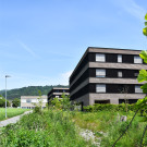 20220516_Kugelbeerbach nach 1 Jahr.jpg