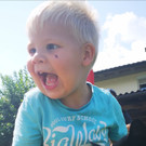 Bild Lion 2.jpg