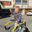 Bild Lion 1.jpg