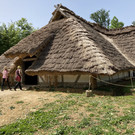 IMG_2251.JPG