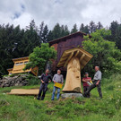 Bienen3.jpg