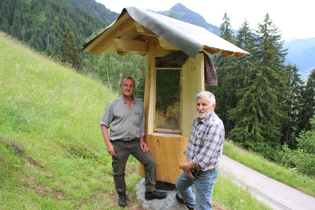 Bienen5.JPG
