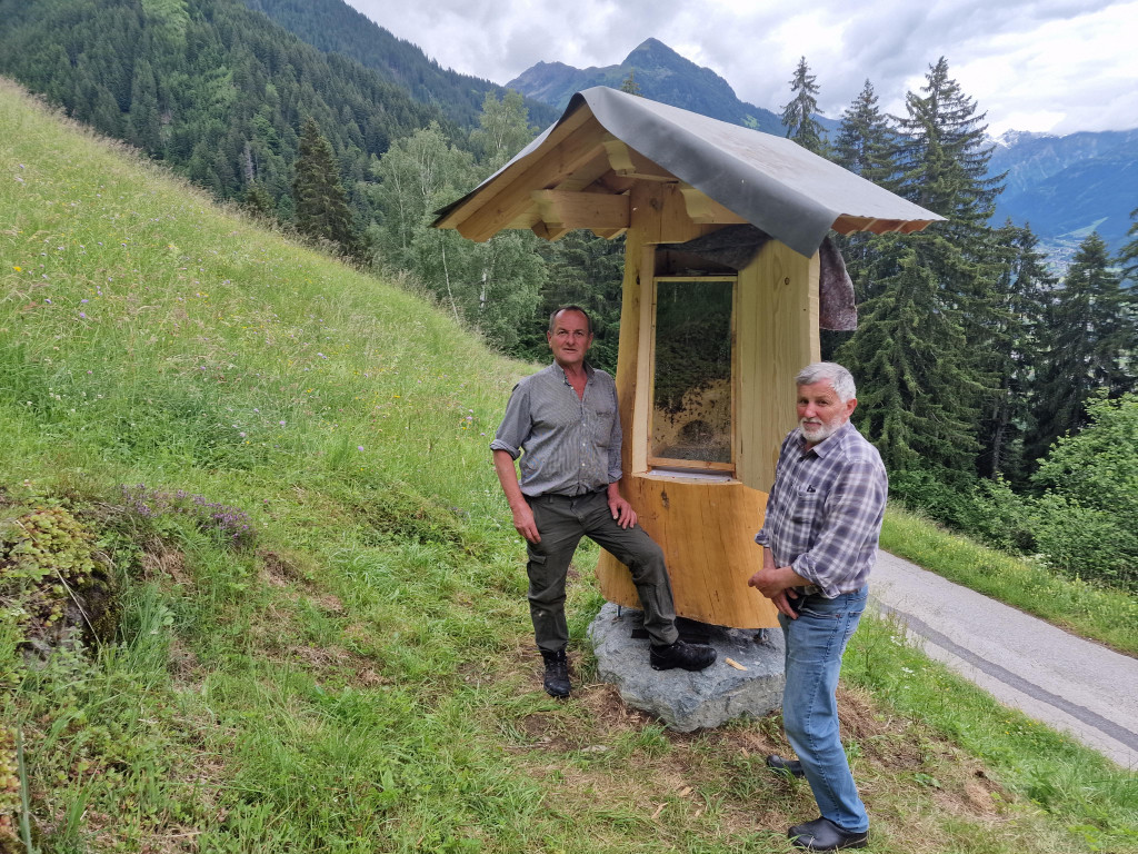 Bienen7.jpg
