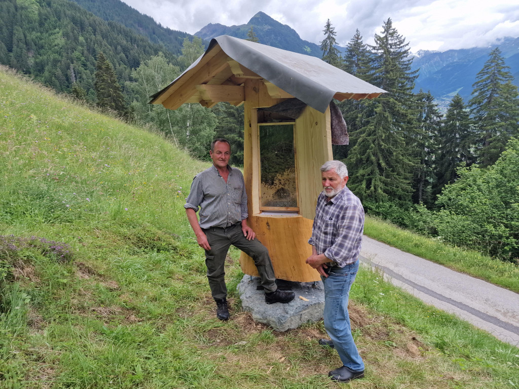 Bienen11.jpg