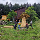 Bienen12.jpg