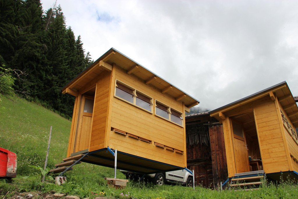 Bienen15.JPG
