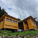 Bienen8.jpg