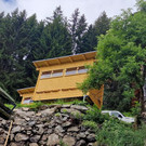 Bienen9.jpg