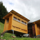Bienen15.JPG