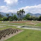 IMG_20220616_135510.jpg