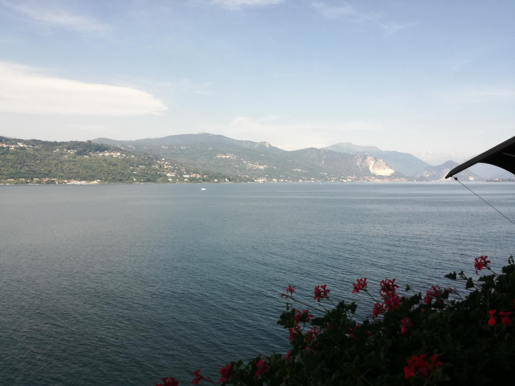 IMG_20220617_095930.jpg