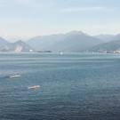 IMG_20220617_100833.jpg