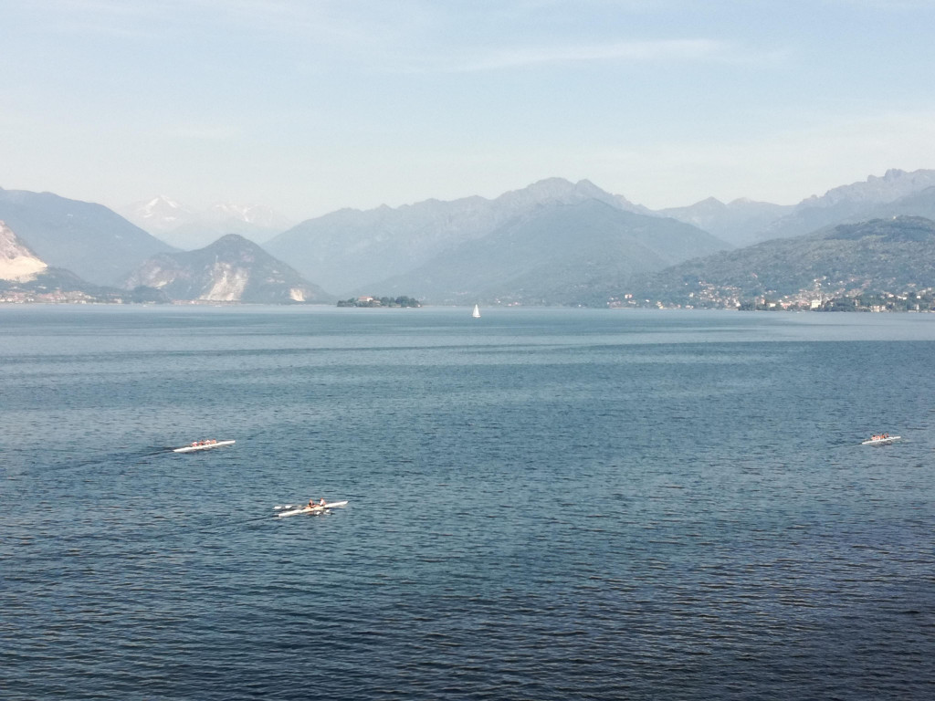 IMG_20220617_100833.jpg