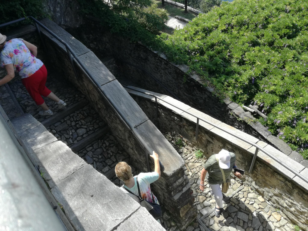 IMG_20220617_104757.jpg