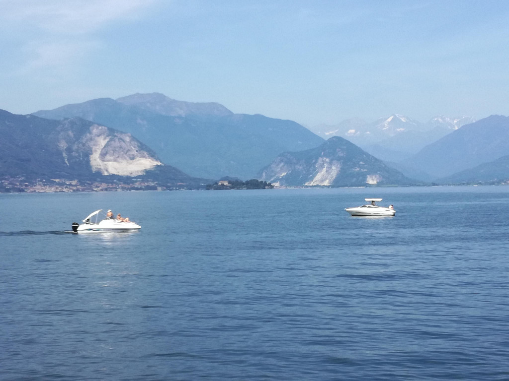 IMG_20220617_114104.jpg