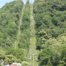 IMG_20220617_164347_1.jpg