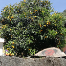 IMG_20220617_164619.jpg