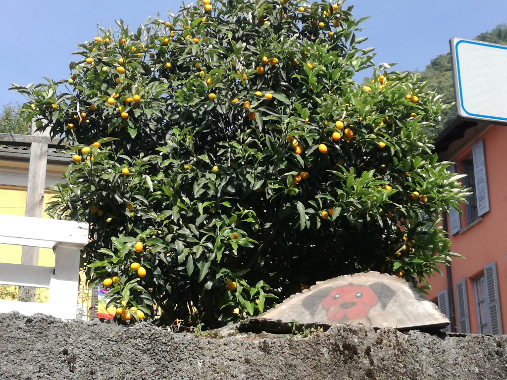 IMG_20220617_164619.jpg