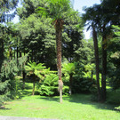 IMG_5480.JPG