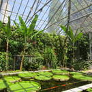 IMG_5487.JPG