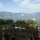 IMG_20220617_084841.jpg