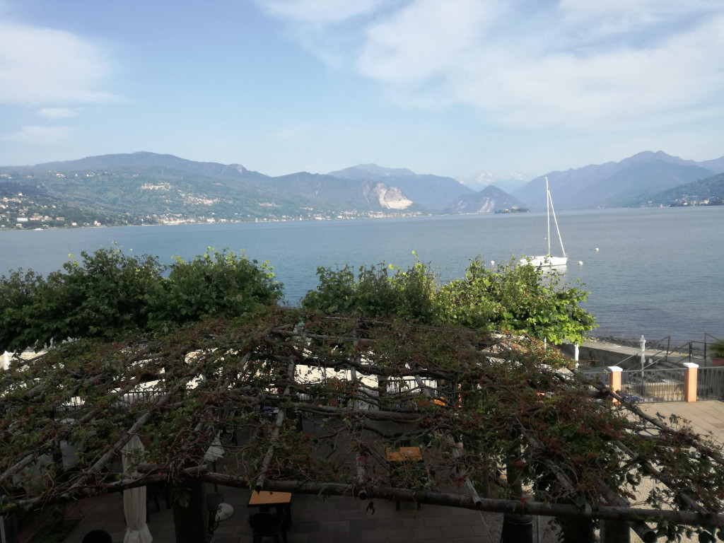 IMG_20220617_084841.jpg