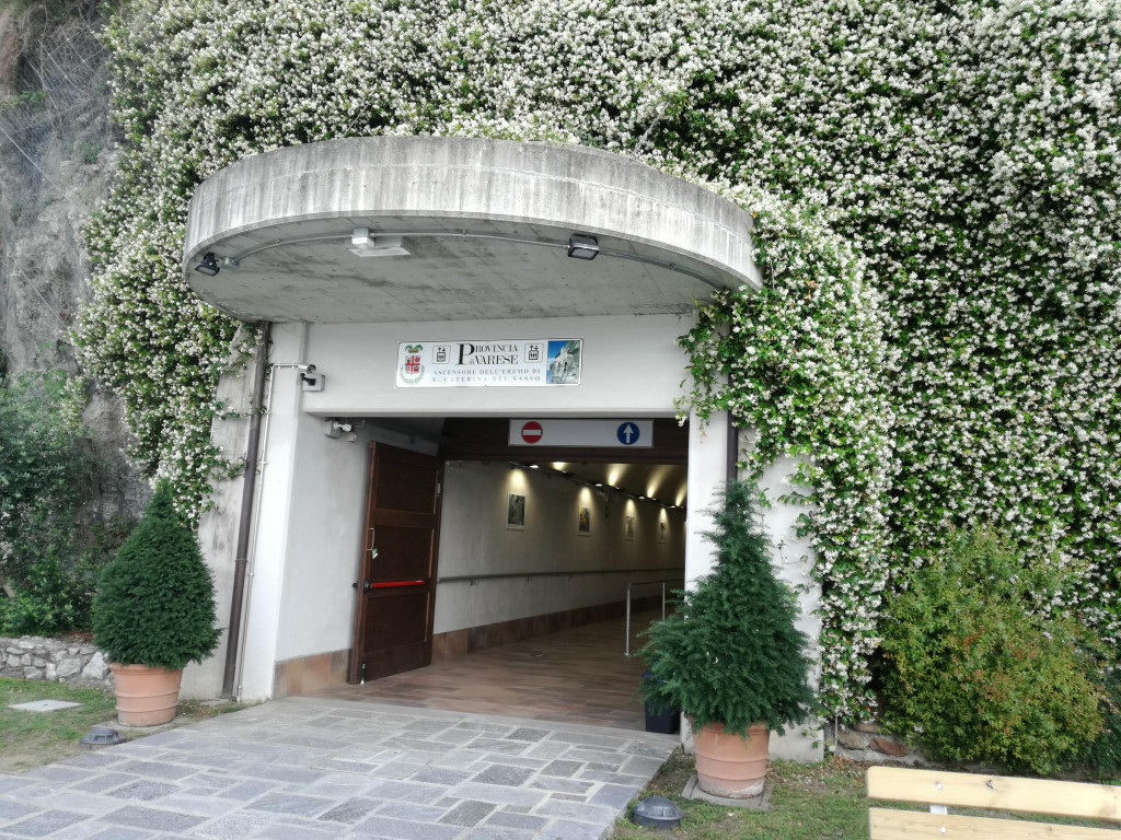 IMG_20220617_095300.jpg