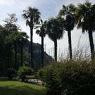IMG_20220617_095518.jpg
