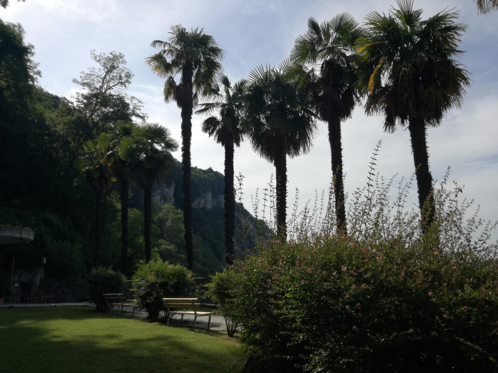 IMG_20220617_095518.jpg