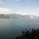 IMG_20220617_095930.jpg