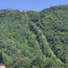 1655794561080.jpg