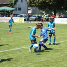 IMG_9677.jpg