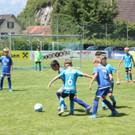 IMG_9678.jpg
