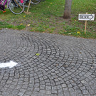 DSC_0110.JPG