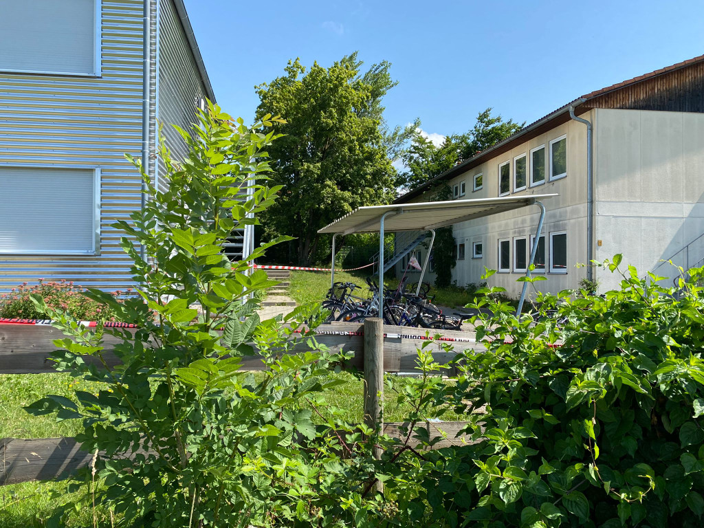 WhatsApp Image 2022-06-27 at 11_01_06.jpeg