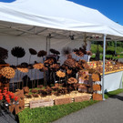 Lochau Kunstmarkt SOMMER am Kaiserstrand NACHBERICHT 25-06-2022 _16_.jpg