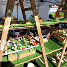 Lochau Kunstmarkt SOMMER am Kaiserstrand NACHBERICHT 25-06-2022 _10_.jpg