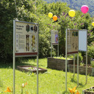 IMG_9725.JPG
