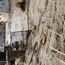 ABD0016-20220629.jpg