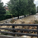 ABD0163-20220629.jpg